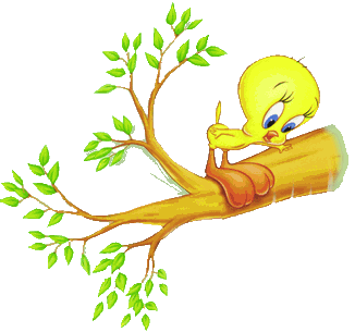Tweety fliegt gleich los